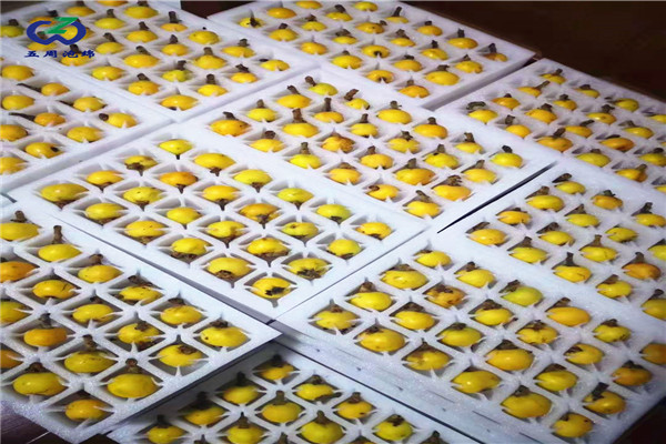 枇杷內托定做的材料只有防震的作用嗎？