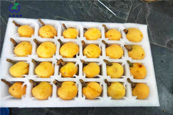 琵琶托or枇杷托，別一不小心就弄混淆了