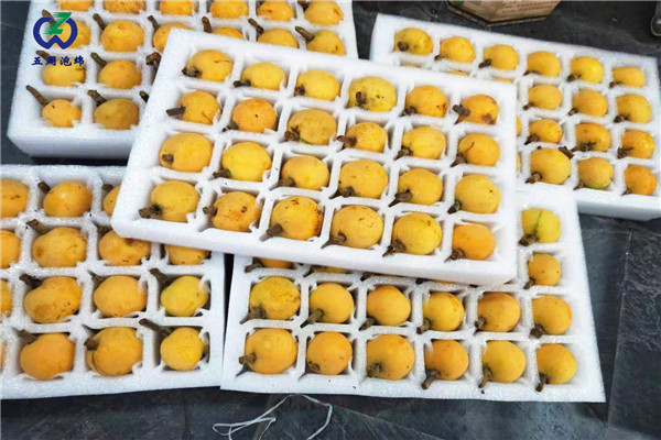 常見的水果內托定做材料是什么？