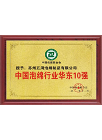 中國(guó)泡綿行業(yè)華東10強(qiáng)